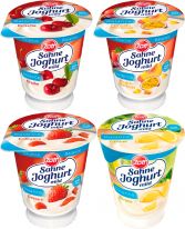Zott Sahne Joghurt Balance Sortierung Saison 150g, 20pcs